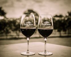 2013 10-Stone House Vineyards Spicewood Texas